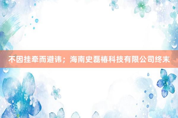 不因挂牵而避讳；海南史磊椿科技有限公司终末