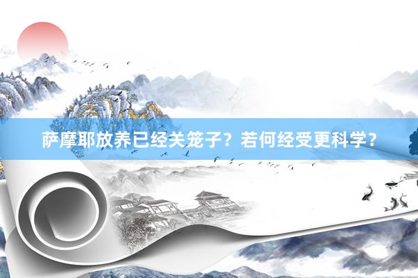 萨摩耶放养已经关笼子？若何经受更科学？