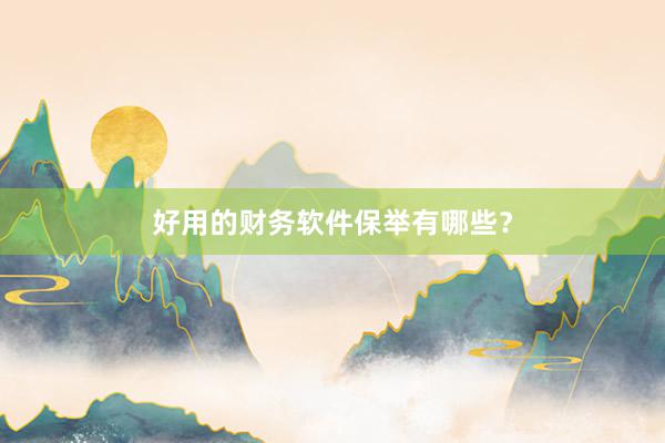 好用的财务软件保举有哪些?