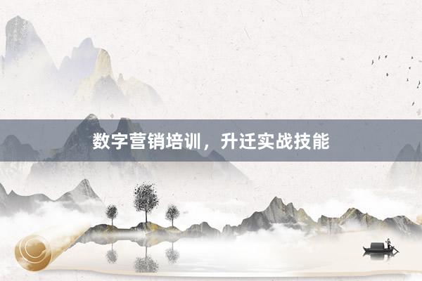 数字营销培训，升迁实战技能